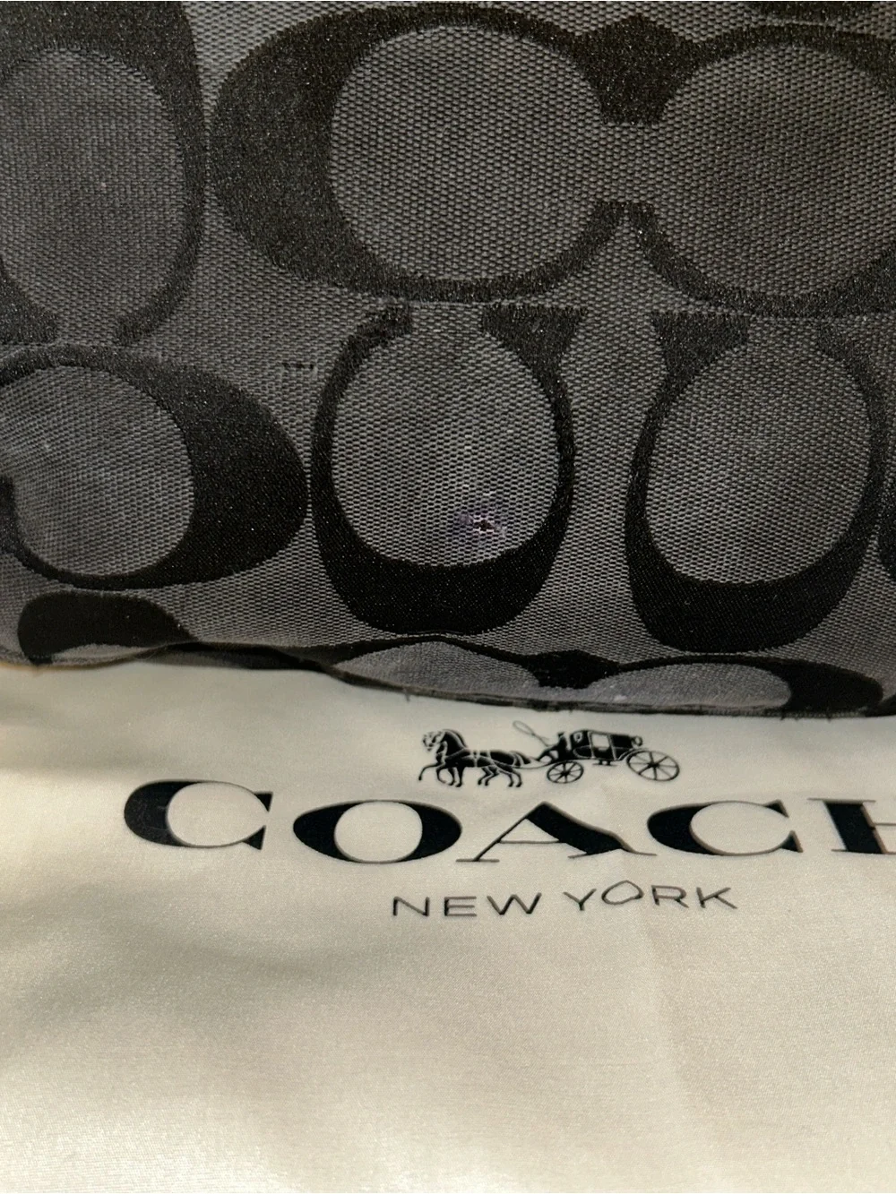 Vintage Coach 